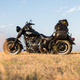 Illustration for article titled Here's Why I Ride A Harley, And Why You Should Too